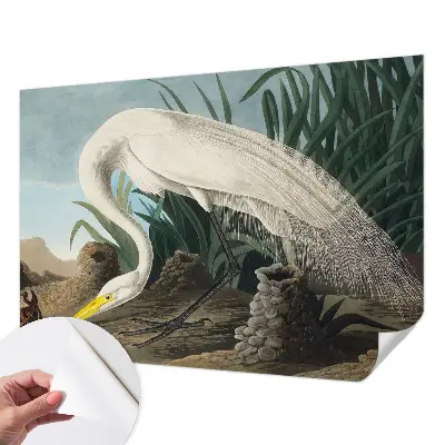 Fotobehang voor de kinderkamer met een majestueuze reiger als motief