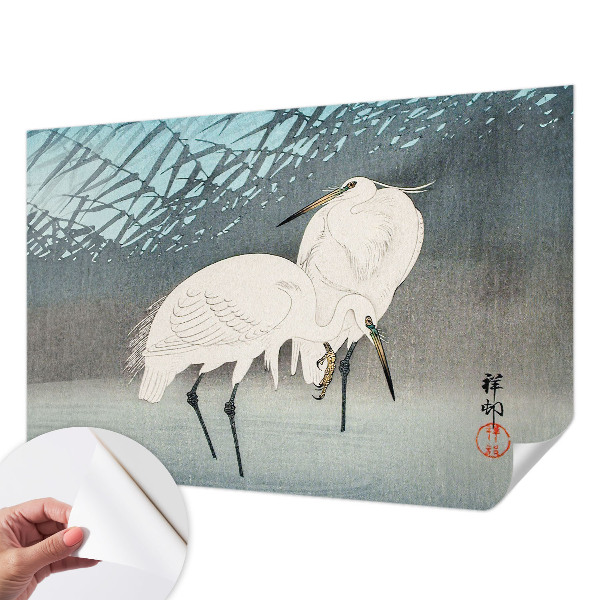 Zelfklevend fotobehang Kwetsbare vogels