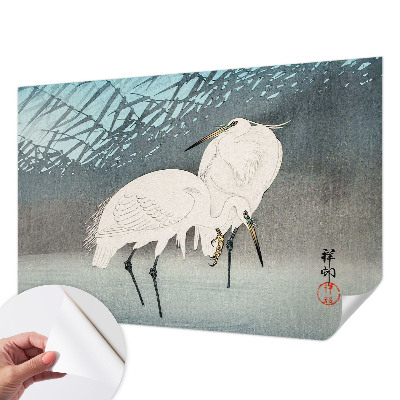 Zelfklevend fotobehang Kwetsbare vogels