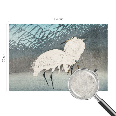 Zelfklevend fotobehang Kwetsbare vogels