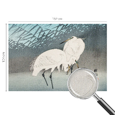 Zelfklevend fotobehang Kwetsbare vogels