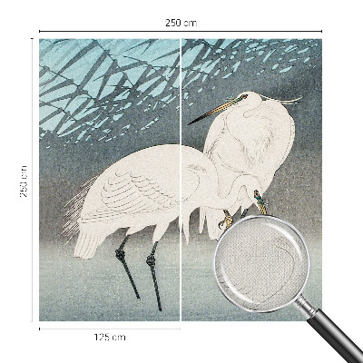 Zelfklevend fotobehang Kwetsbare vogels