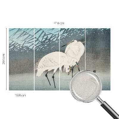 Zelfklevend fotobehang Kwetsbare vogels