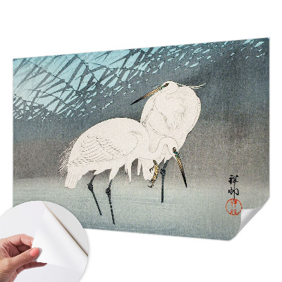 Zelfklevend fotobehang Kwetsbare vogels