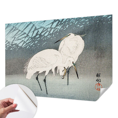 Zelfklevend fotobehang Kwetsbare vogels