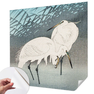 Zelfklevend fotobehang met het motief van kwetsbare vogels