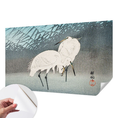 Zelfklevend fotobehang Kwetsbare vogels