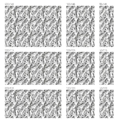 Zelfklevende raamfolie glas in lood Tropische bladeren