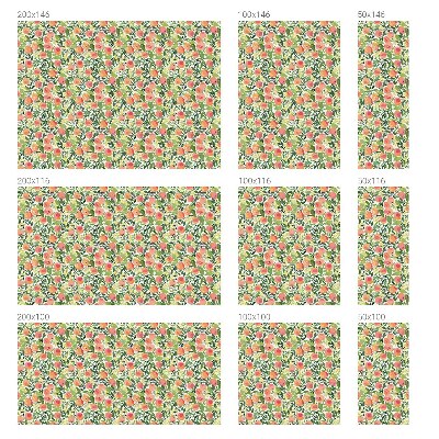 Anti inkijk raamfolie Fruitpatroon