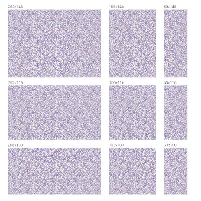 Anti inkijk raamfolie Bloemige lichtheid