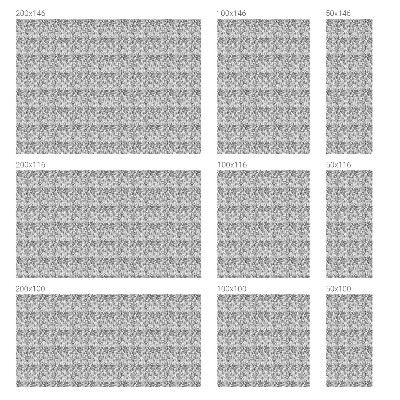 Zelfklevende anti inkijk folie glas in lood Bloemen elegantie