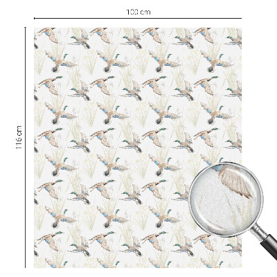 Anti inkijk raamfolie Vogels natuur