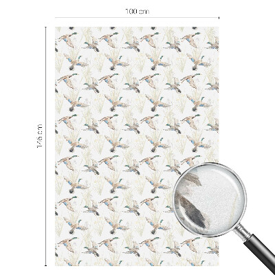 Anti inkijk raamfolie Vogels natuur