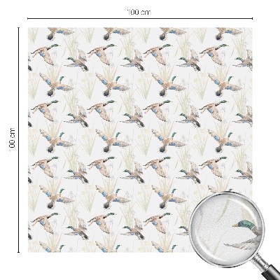 Anti inkijk raamfolie Vogels natuur