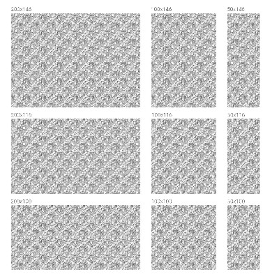 Anti inkijk raamfolie Klassieke portretten