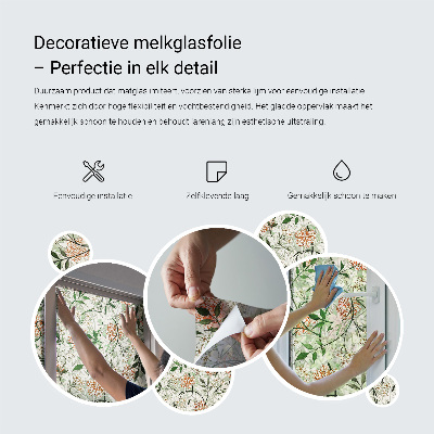 Anti inkijk raamfolie Plantenpatroon