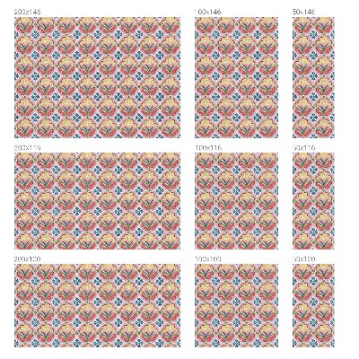 Anti inkijk raamfolie Bloemenpatronen