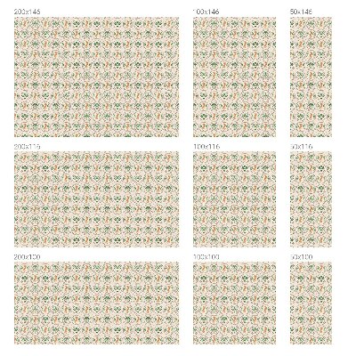 Zonwerende raamfolie Palmluipaard