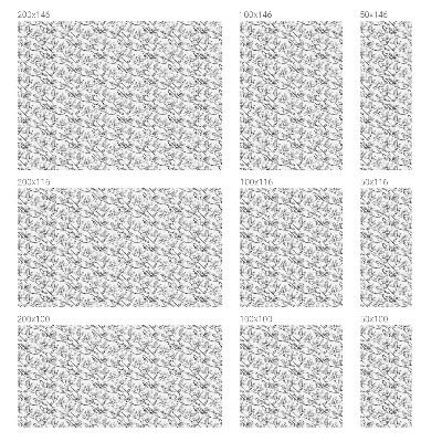 Zonwerende raamfolie Vogels en bloemen