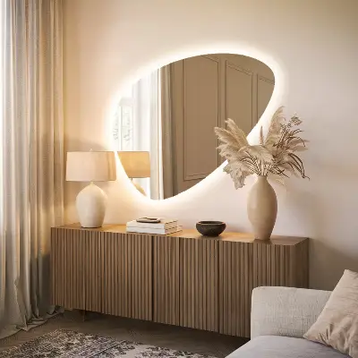 Asymmetrische eivormige spiegel met ledverlichting