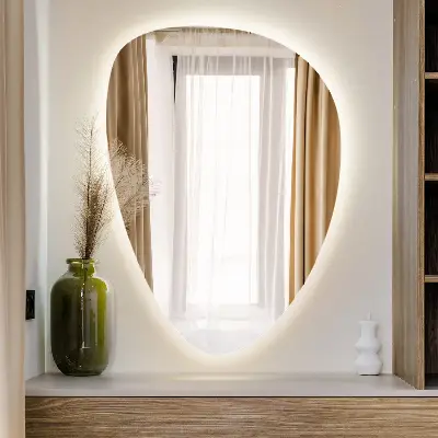 Asymmetrische eivormige spiegel met ledverlichting