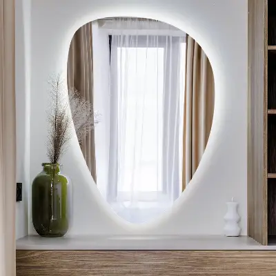 Asymmetrische eivormige spiegel met ledverlichting