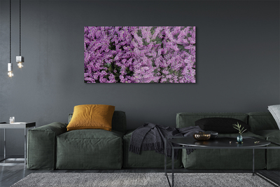 Plexiglas foto Paarse bloemen