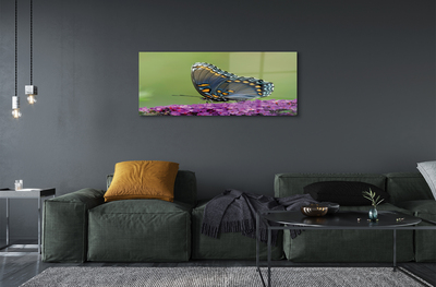 Foto op plexiglas Kleurrijke vlinder op bloemen
