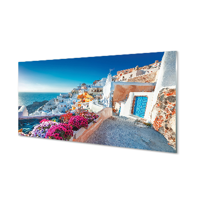 Foto op plexiglas Griekenland gebouwen zee bloemen
