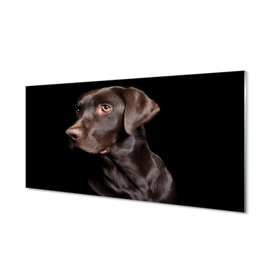 Plexiglas foto Bruine hond