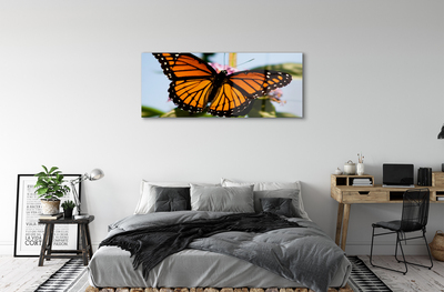 Foto op plexiglas Kleurrijke vlinder