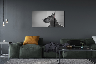 Plexiglas foto Zwarte hond