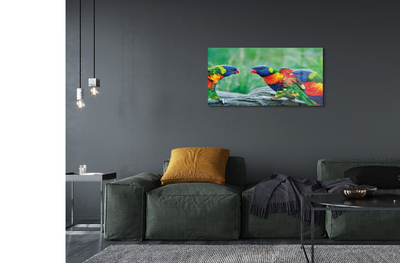 Foto op plexiglas Kleurrijke papegaaiboom