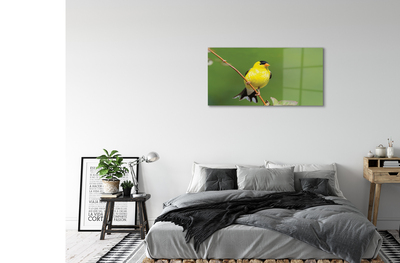 Foto op plexiglas Gele papegaai