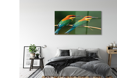 Foto op plexiglas Kleurrijke papegaaien op een tak