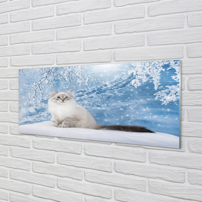 Foto op plexiglas Kat in de winter