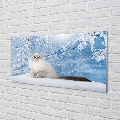 Foto op plexiglas Kat in de winter