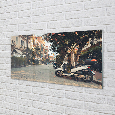 Plexiglas schilderij Motorfietsen palm city zomer