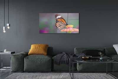 Foto op plexiglas Kleurrijke vlinderbloem