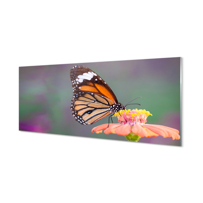 Foto op plexiglas Kleurrijke vlinderbloem
