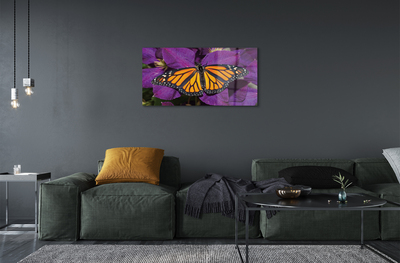 Foto op plexiglas Kleurrijke vlinderbloemen