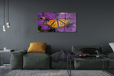 Foto op plexiglas Kleurrijke vlinderbloemen