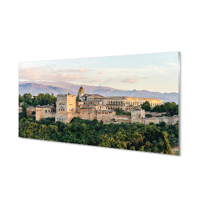 Foto op plexiglas Spanje kasteel bos bergen
