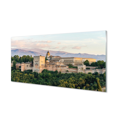 Foto op plexiglas Spanje kasteel bos bergen