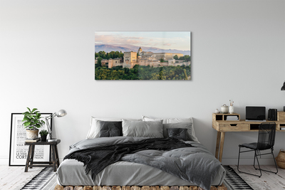 Foto op plexiglas Spanje kasteel bos bergen