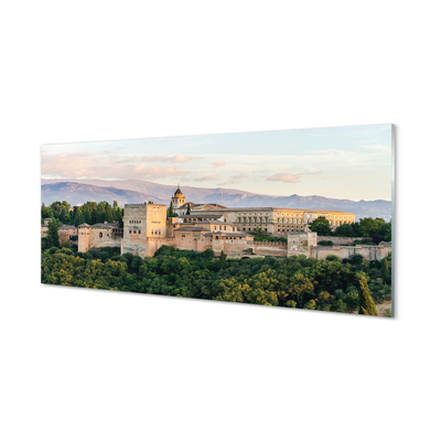 Foto op plexiglas Spanje kasteel bos bergen