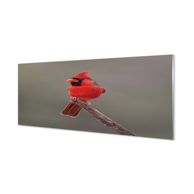 Foto op plexiglas Een rode papegaai op een tak