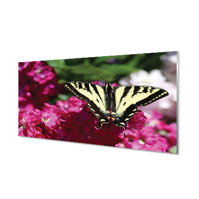 Foto op plexiglas Vlinderbloemen