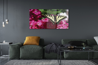 Foto op plexiglas Vlinderbloemen