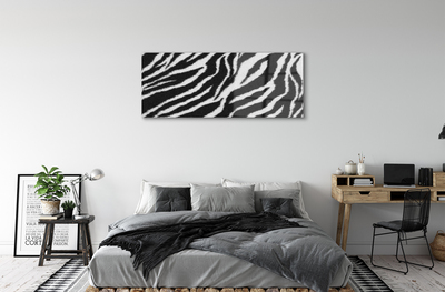 Plexiglas foto Zebra vacht